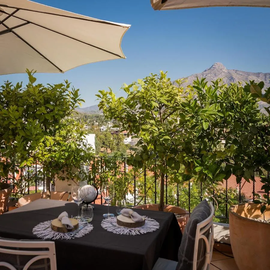 Molo Luxury Suites Puerto Banus Marbella