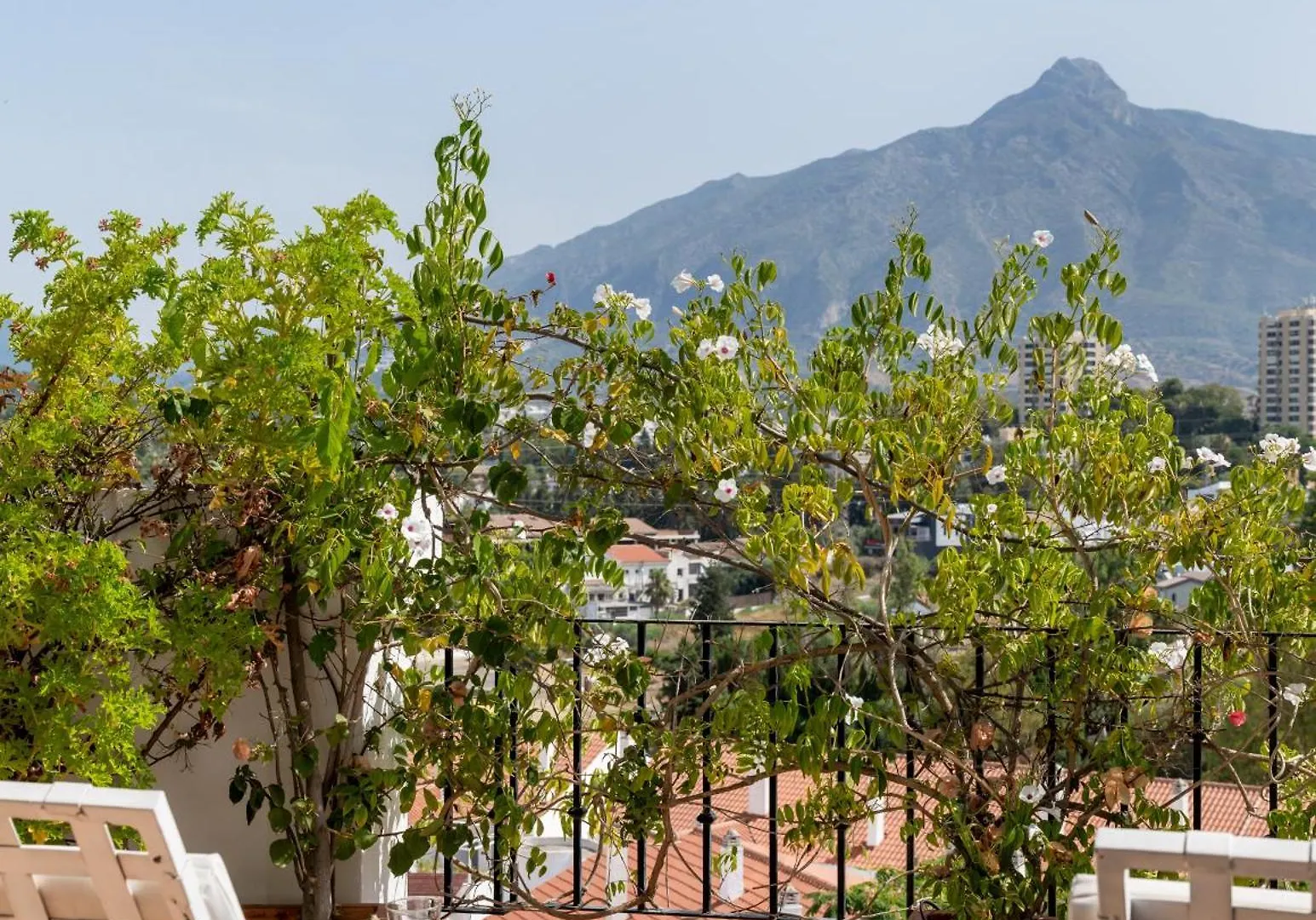 Molo Luxury Suites Puerto Banus Marbella Hotel