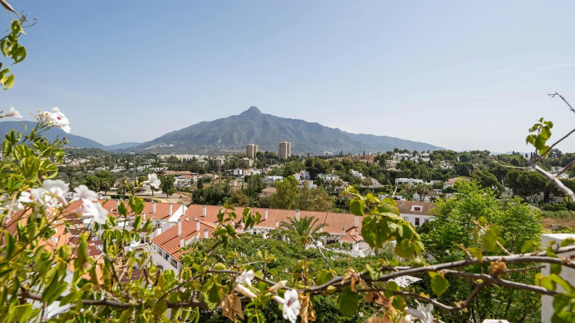 Molo Luxury Suites Puerto Banus Marbella