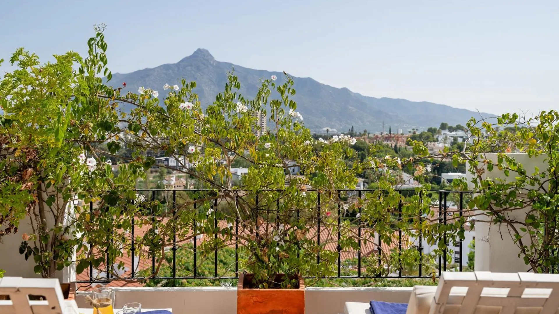 Molo Luxury Suites Puerto Banus Marbella Spain